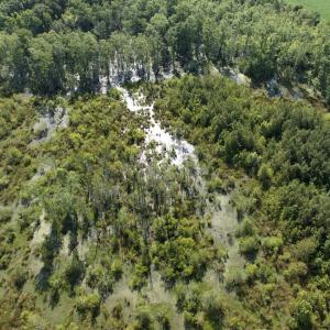 Photo #39 of Off Middle Swamp Rd, Corapeake, NC 234.4 acres