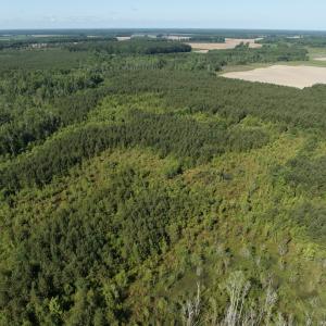 Photo #40 of Off Middle Swamp Rd, Corapeake, NC 234.4 acres