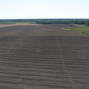 Photo #29 of Off Middle Swamp Rd, Corapeake, NC 234.4 acres
