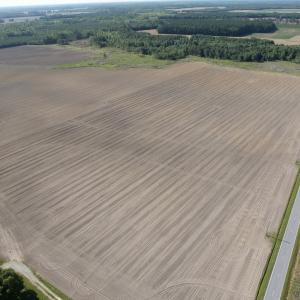 Photo #31 of Off Middle Swamp Rd, Corapeake, NC 234.4 acres