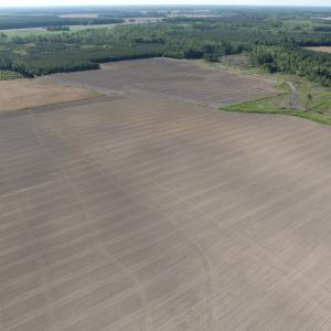 Photo #32 of Off Middle Swamp Rd, Corapeake, NC 234.4 acres