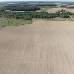 Photo #33 of Off Middle Swamp Rd, Corapeake, NC 234.4 acres