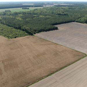 Photo #34 of Off Middle Swamp Rd, Corapeake, NC 234.4 acres