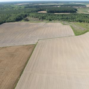 Photo #36 of Off Middle Swamp Rd, Corapeake, NC 234.4 acres