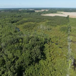 Photo #41 of Off Middle Swamp Rd, Corapeake, NC 234.4 acres