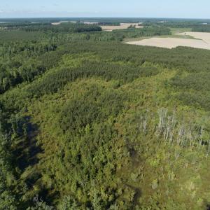 Photo #42 of Off Middle Swamp Rd, Corapeake, NC 234.4 acres