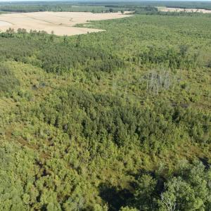 Photo #44 of Off Middle Swamp Rd, Corapeake, NC 234.4 acres