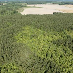 Photo #45 of Off Middle Swamp Rd, Corapeake, NC 234.4 acres