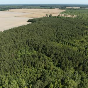 Photo #47 of Off Middle Swamp Rd, Corapeake, NC 234.4 acres