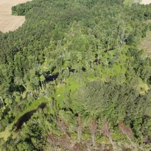 Photo #49 of Off Middle Swamp Rd, Corapeake, NC 234.4 acres