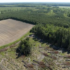 Photo #50 of Off Middle Swamp Rd, Corapeake, NC 234.4 acres