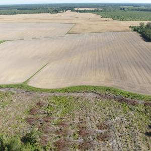 Photo #51 of Off Middle Swamp Rd, Corapeake, NC 234.4 acres