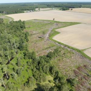 Photo #52 of Off Middle Swamp Rd, Corapeake, NC 234.4 acres
