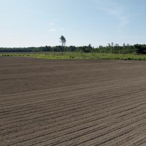 Photo #58 of Off Middle Swamp Rd, Corapeake, NC 234.4 acres