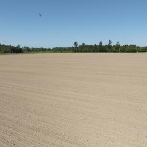 Photo #59 of Off Middle Swamp Rd, Corapeake, NC 234.4 acres