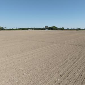 Photo #60 of Off Middle Swamp Rd, Corapeake, NC 234.4 acres