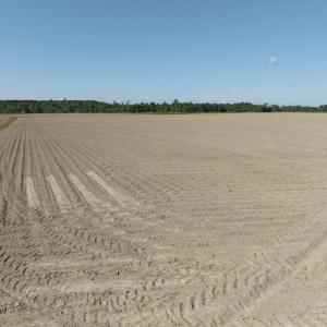 Photo #63 of Off Middle Swamp Rd, Corapeake, NC 234.4 acres