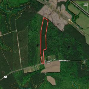 Photo #4 of Off Chinquapin Rd, Wakefield, VA 13.3 acres