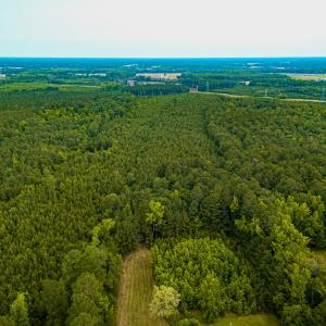 Photo #1 of Off Chinquapin Rd, Wakefield, VA 13.3 acres