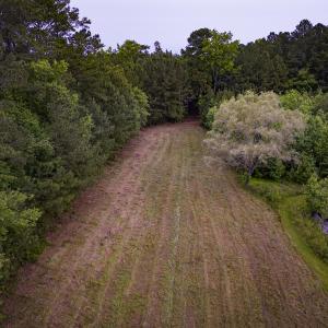 Photo #3 of Off Chinquapin Rd, Wakefield, VA 13.3 acres