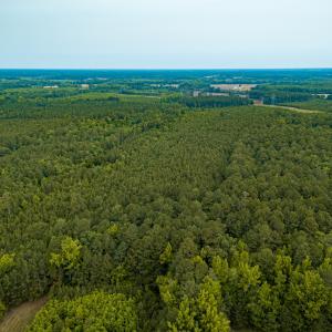 Photo #24 of Off Chinquapin Rd, Wakefield, VA 13.3 acres