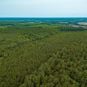 Photo #25 of Off Chinquapin Rd, Wakefield, VA 13.3 acres