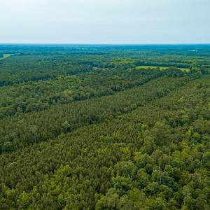 Photo #26 of Off Chinquapin Rd, Wakefield, VA 13.3 acres