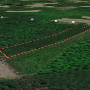 Photo #27 of Off Chinquapin Rd, Wakefield, VA 13.3 acres