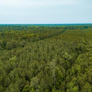 Photo #28 of Off Chinquapin Rd, Wakefield, VA 13.3 acres