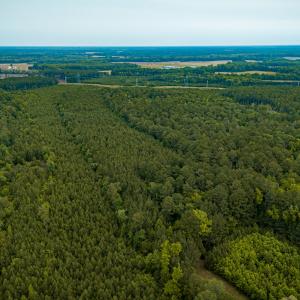 Photo #30 of Off Chinquapin Rd, Wakefield, VA 13.3 acres