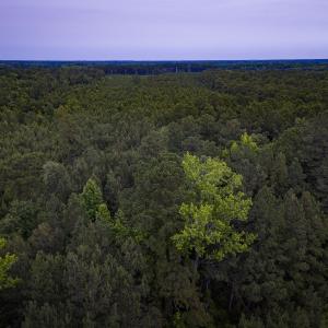 Photo #31 of Off Chinquapin Rd, Wakefield, VA 13.3 acres