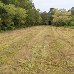Photo #5 of Off Chinquapin Rd, Wakefield, VA 13.3 acres