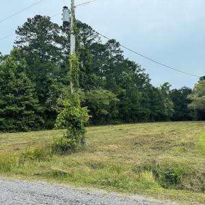 Photo #6 of Off Chinquapin Rd, Wakefield, VA 13.3 acres