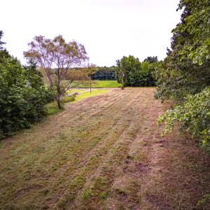 Photo #9 of Off Chinquapin Rd, Wakefield, VA 13.3 acres
