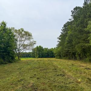 Photo #10 of Off Chinquapin Rd, Wakefield, VA 13.3 acres