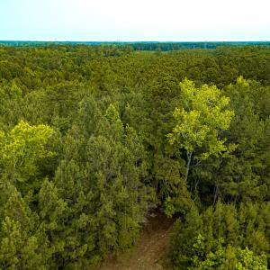 Photo #11 of Off Chinquapin Rd, Wakefield, VA 13.3 acres
