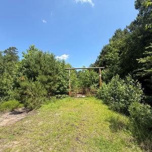 Photo #8 of 5799 Tolarsville Road , Saint Pauls , NC 439.0 acres