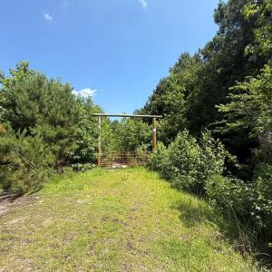 Photo #9 of 5799 Tolarsville Road , Saint Pauls , NC 439.0 acres