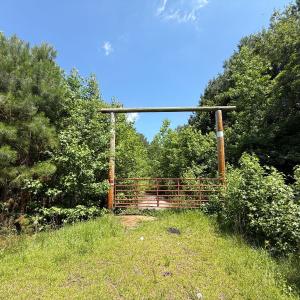 Photo #10 of 5799 Tolarsville Road , Saint Pauls , NC 439.0 acres