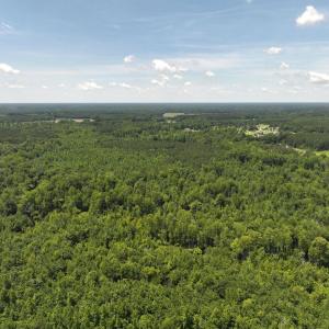 Photo #12 of 5799 Tolarsville Road , Saint Pauls , NC 439.0 acres