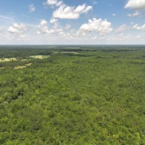 Photo #13 of 5799 Tolarsville Road , Saint Pauls , NC 439.0 acres