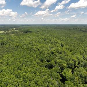 Photo #1 of 5799 Tolarsville Road , Saint Pauls , NC 439.0 acres