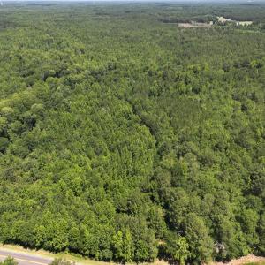 Photo #17 of 5799 Tolarsville Road , Saint Pauls , NC 439.0 acres