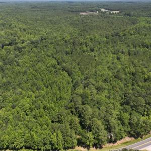 Photo #18 of 5799 Tolarsville Road , Saint Pauls , NC 439.0 acres