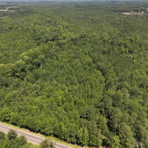 Photo #19 of 5799 Tolarsville Road , Saint Pauls , NC 439.0 acres
