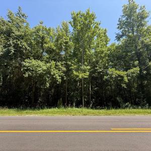 Photo #23 of 5799 Tolarsville Road , Saint Pauls , NC 439.0 acres