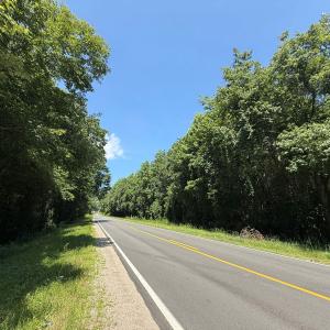 Photo #24 of 5799 Tolarsville Road , Saint Pauls , NC 439.0 acres