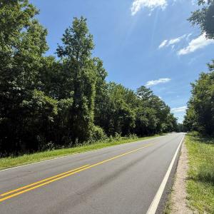 Photo #25 of 5799 Tolarsville Road , Saint Pauls , NC 439.0 acres