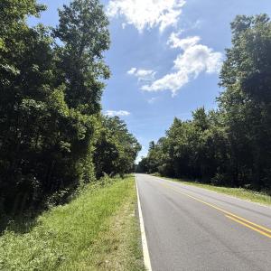 Photo #26 of 5799 Tolarsville Road , Saint Pauls , NC 439.0 acres
