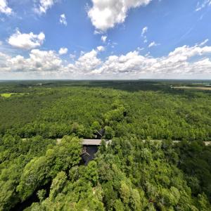 Photo #27 of 5799 Tolarsville Road , Saint Pauls , NC 439.0 acres